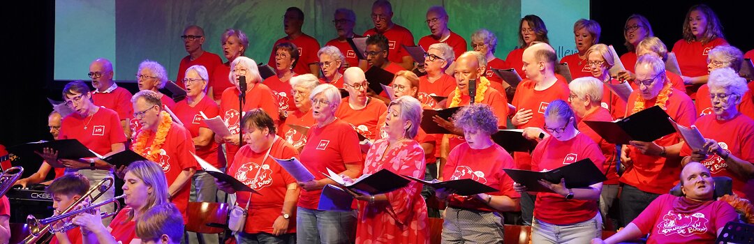 Iedereen doet mee tijdens Brullen in de Bussel: feest van muziek, dans en verbinding