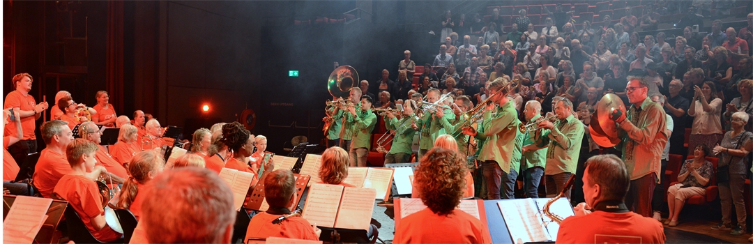 Gezocht: zangers en muzikanten